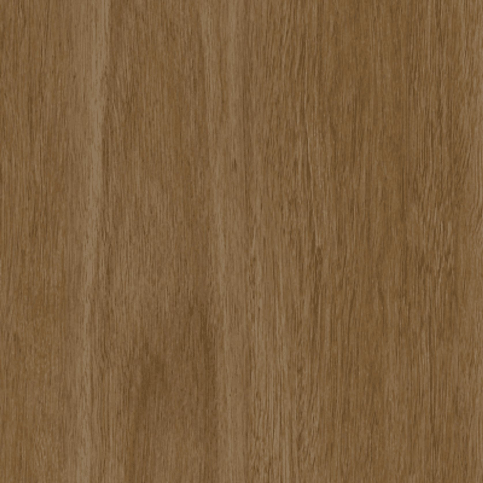 Rewind gallery detail image