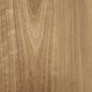 Aussie Plank gallery detail image