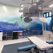 Altro Whiterock Digiclad™ Custom Printed Hygienic Wall Lining gallery detail image