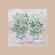 Citronnier - Limited Edition Print gallery detail image