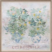 Citronnier - Limited Edition Print gallery detail image