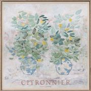 Citronnier - Limited Edition Print gallery detail image