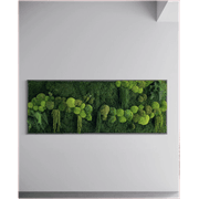 Moss Wall Art - Hanging Forest gallery detail image