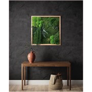 Moss Wall Art - Hanging Forest gallery detail image