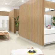 Altro Whiterock™ Wall Designs Decorative Hygienic Walling gallery detail image