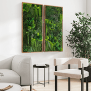 Moss Wall Art - Hanging Forest gallery detail image