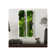 Moss Wall Art - StepForest gallery detail image