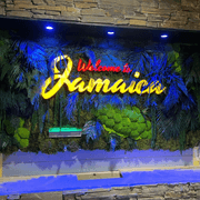 Moss Wall Art - Custom Business Logo/Signage gallery detail image