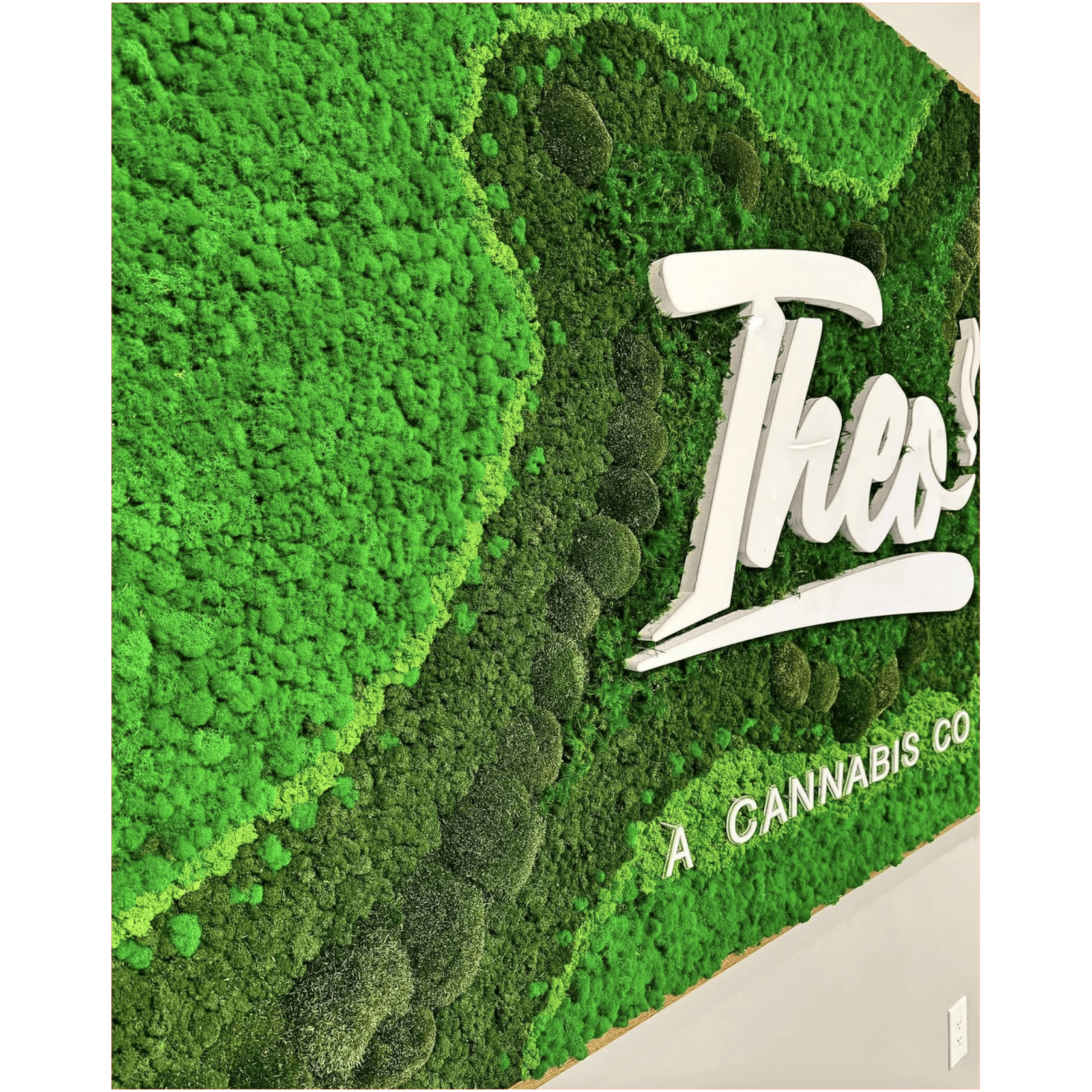 Moss Wall Art - Custom Business Logo/Signage gallery detail image