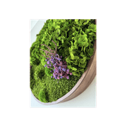 Round Moss Wall Art - Horten gallery detail image