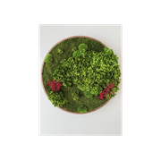 Round Moss Wall Art - Horten gallery detail image