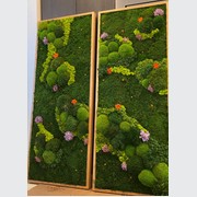 Moss Wall Art - Lavender Hills gallery detail image