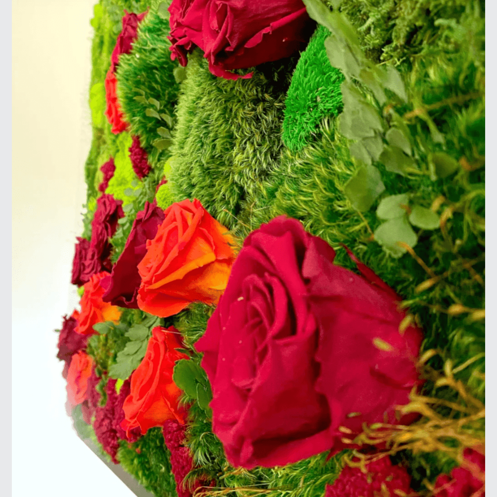 Moss Wall Art - Jardín De Rosas gallery detail image