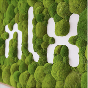 Moss Wall Art - Custom Business Logo/Signage gallery detail image