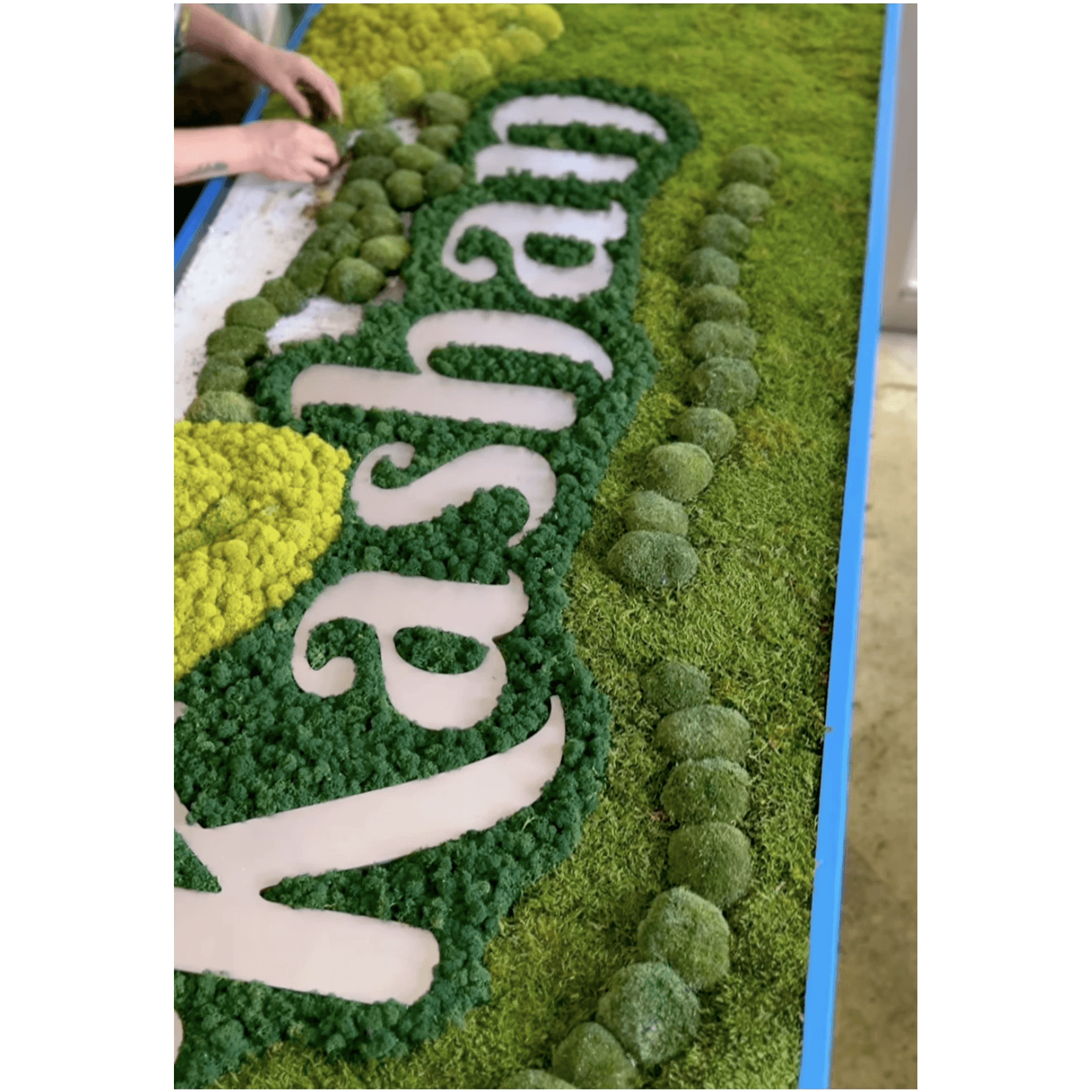 Moss Wall Art - Custom Business Logo/Signage gallery detail image