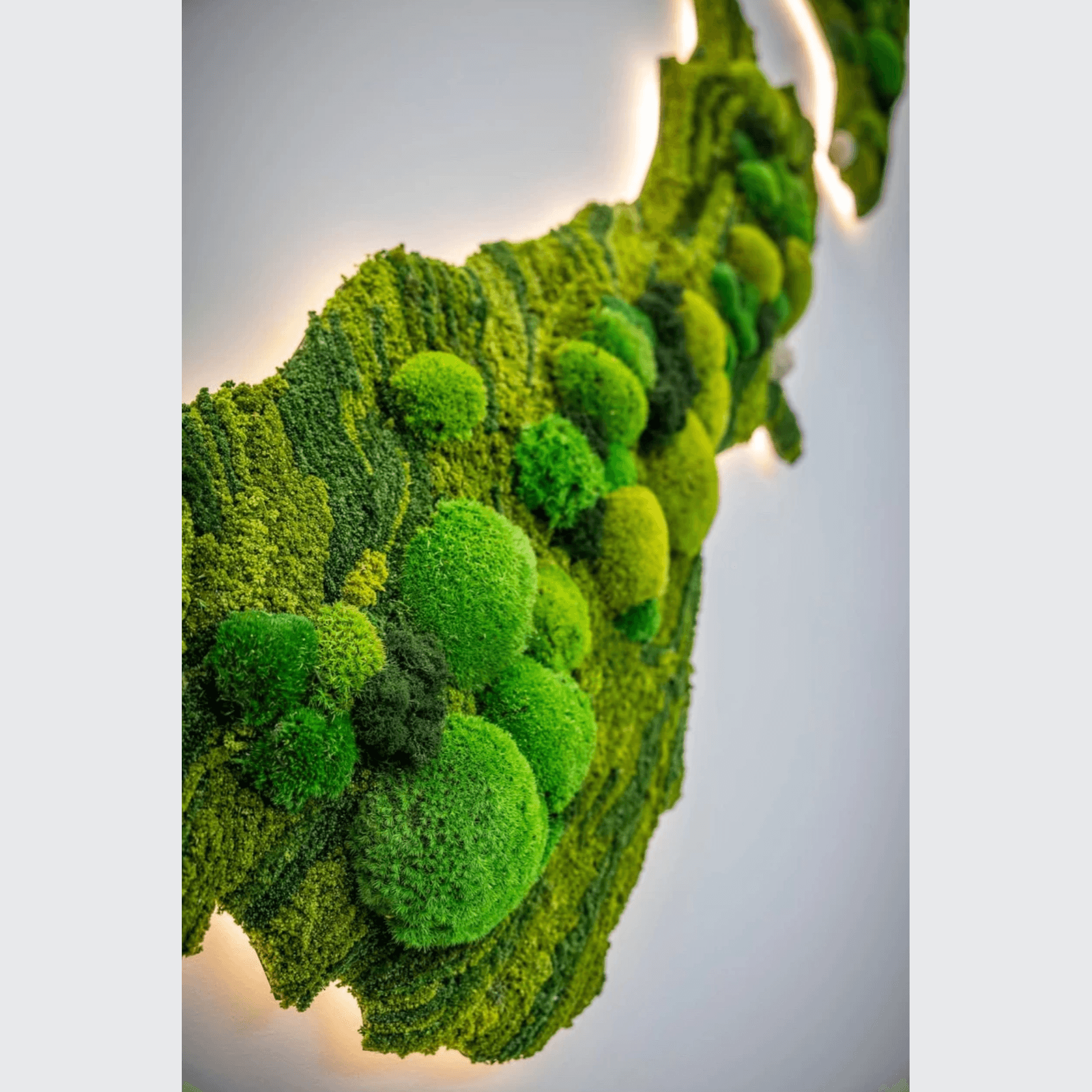 Moss Wall Art - Custom Business Logo/Signage gallery detail image