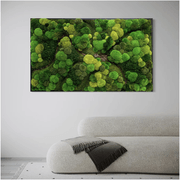 Moss Wall Art - Corteza gallery detail image