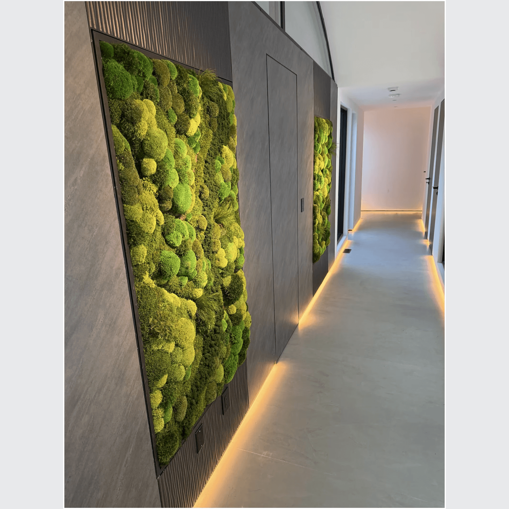 Moss Wall Art - Corteza gallery detail image