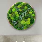 Round Moss Wall Art - Leticia gallery detail image