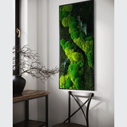 Moss Wall Art - Seacil gallery detail image