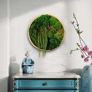 Round Moss Wall Art - Enchanted Forest gallery detail image