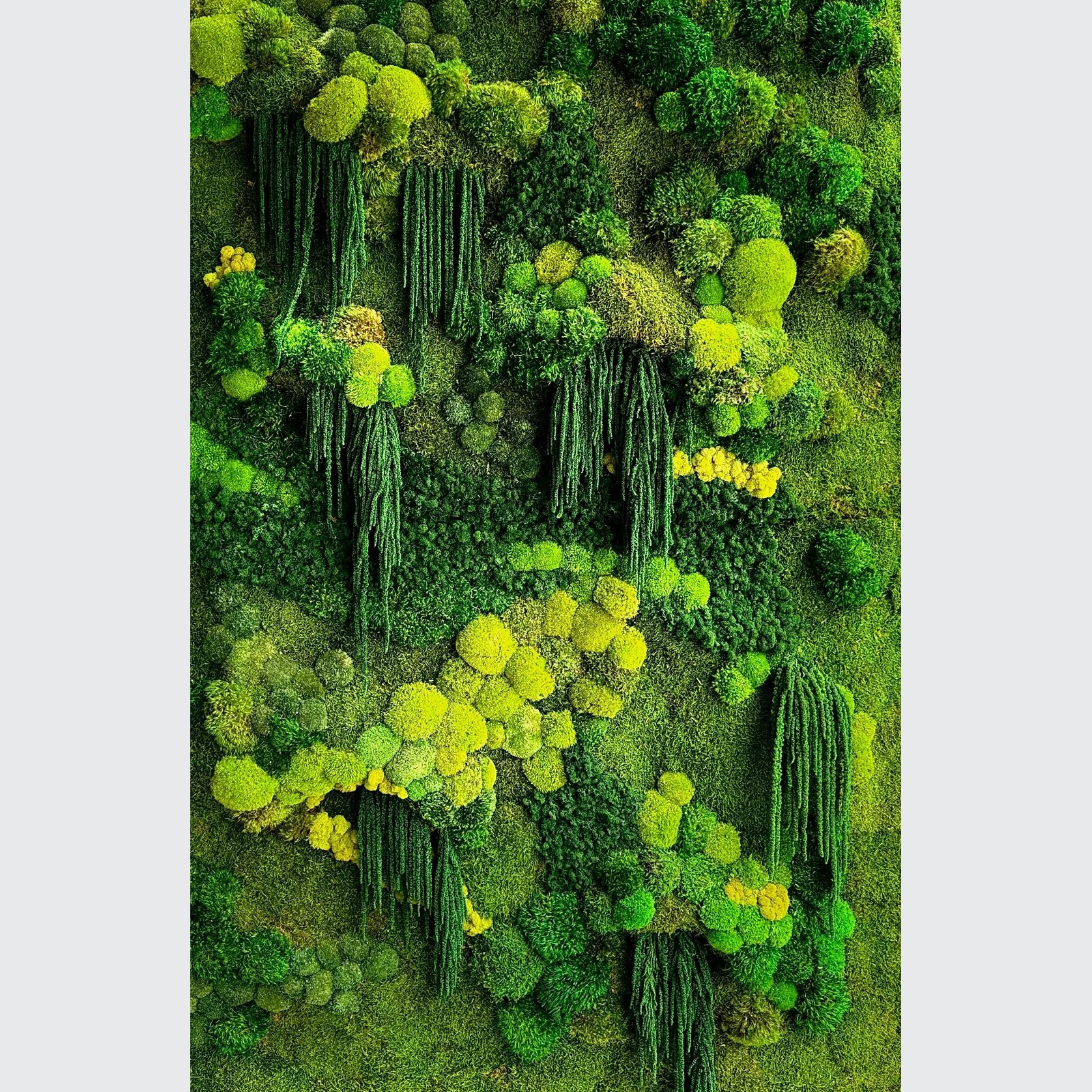 Moss Wall Art - Boreal Forest gallery detail image