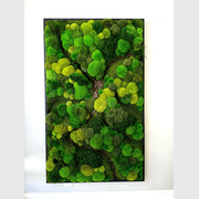 Moss Wall Art - Corteza gallery detail image