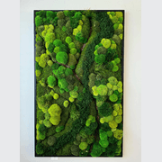 Moss Wall Art - Corteza gallery detail image