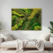 Moss Wall Art - Boca Oliva gallery detail image