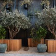 SRS Green Facades | Screens gallery detail image