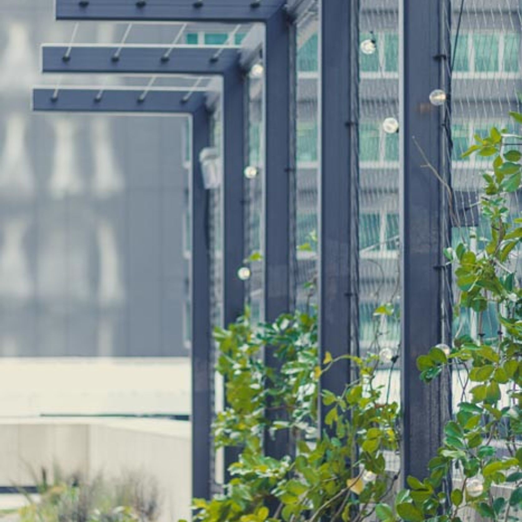 SRS Green Facades | Screens gallery detail image