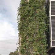 SRS Green Facades | Screens gallery detail image