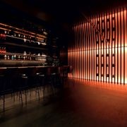 Barrisol Lacquered Reflections gallery detail image