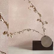 Mottled Polished Plaster gallery detail image