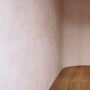 Suave Polished Plaster gallery detail image