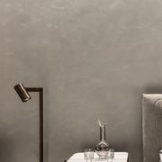 Suave Polished Plaster gallery detail image