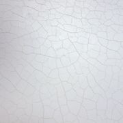 Bone China Polished Plaster gallery detail image