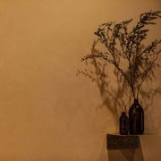Suave Polished Plaster gallery detail image