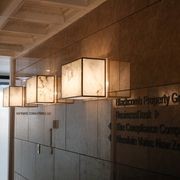 Alastair gallery detail image