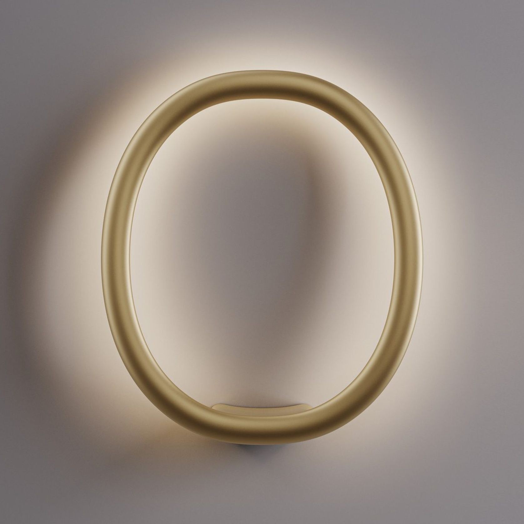 Ring Shaped Wall Light, Decorative Diffuser gallery detail image