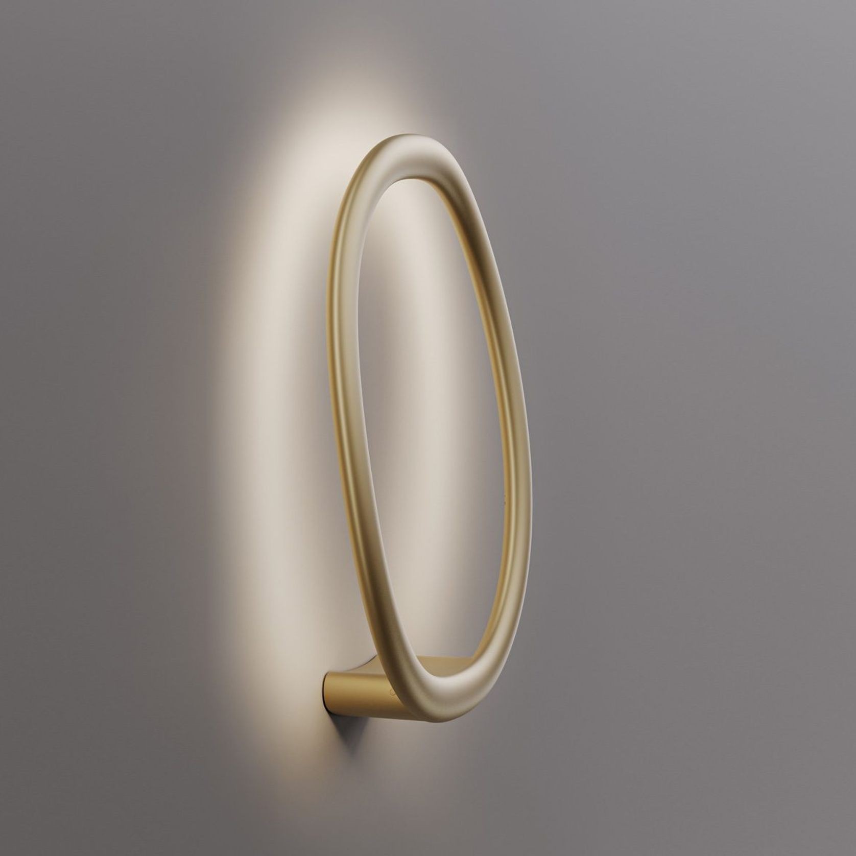 Ring Shaped Wall Light, Decorative Diffuser gallery detail image