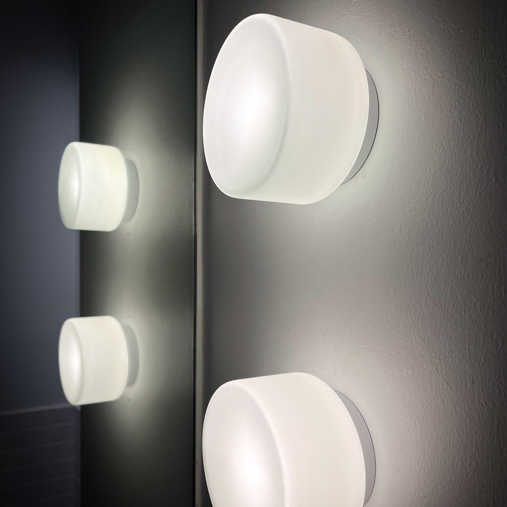 Nocturnal Corella Wall Light gallery detail image
