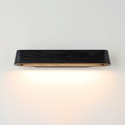 Tenn Sconce | Black Finish gallery detail image