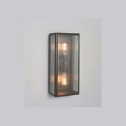 Birch Wall Light gallery detail image