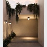 Sfera Wall Light gallery detail image