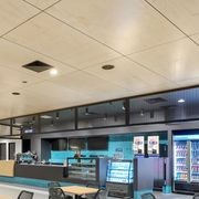 FireHoop | Group 1 fire rated decorative internal panel gallery detail image