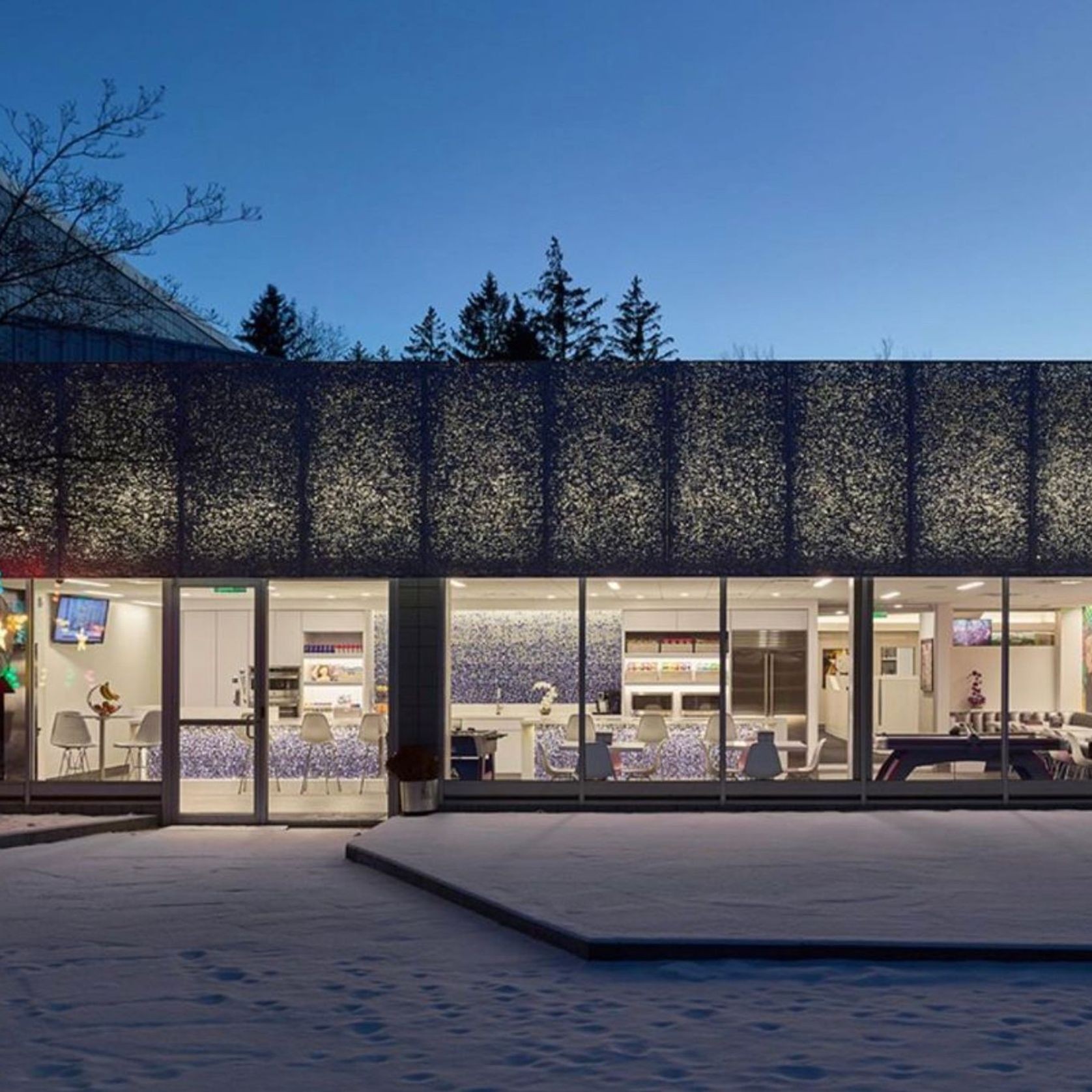 ALUSION™ Large Cell gallery detail image