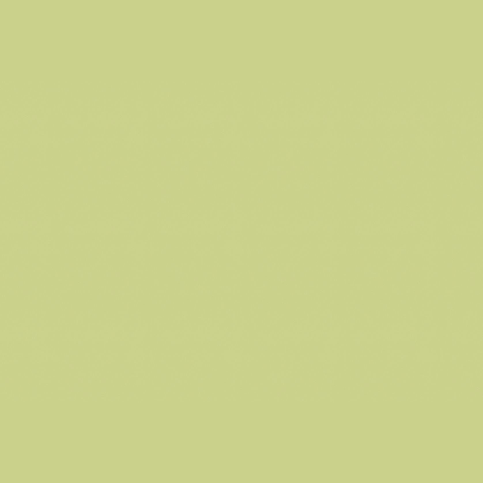 Altro Whiterock Splashbacks™ gallery detail image