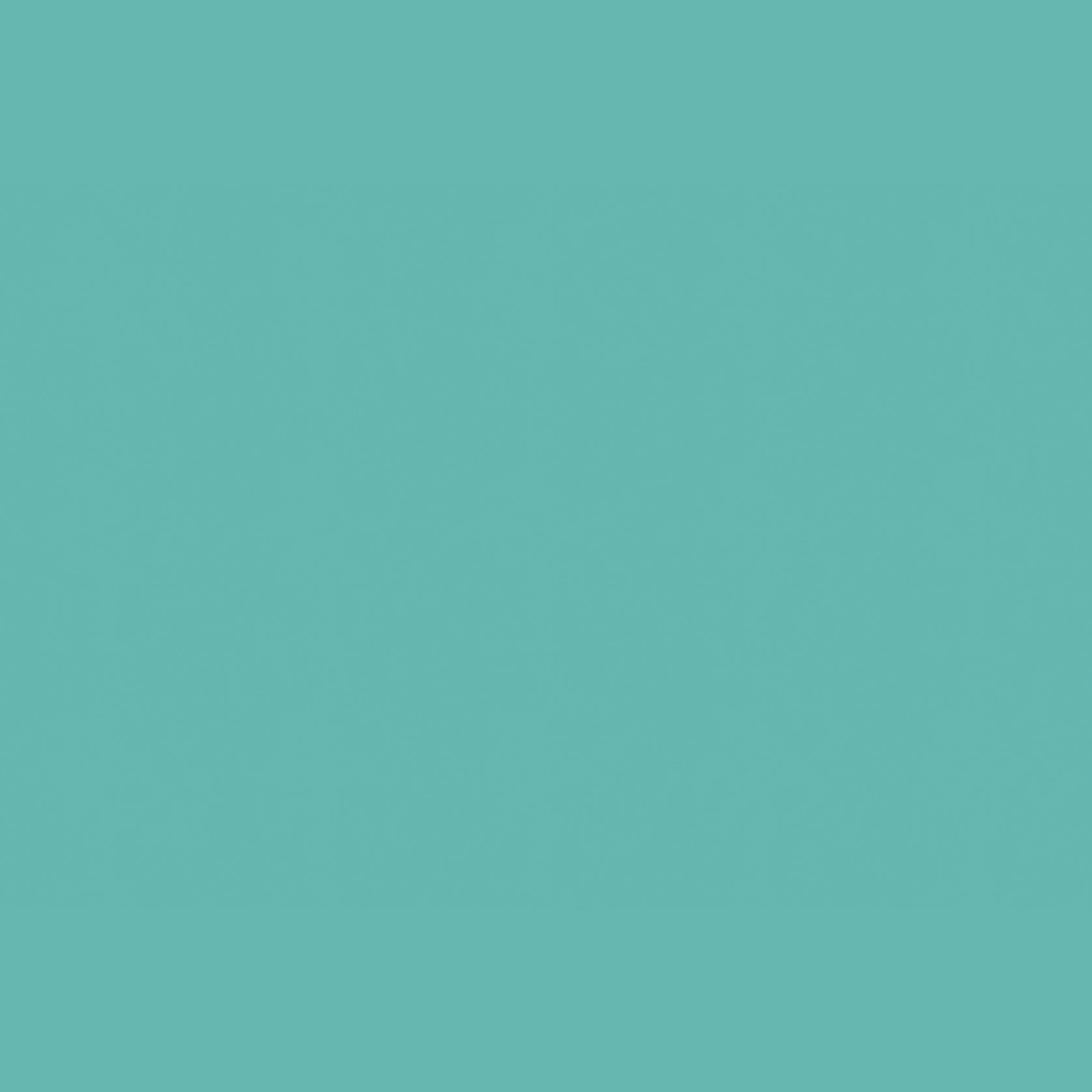 Altro Whiterock Chameleon™ Gloss Wall Lining gallery detail image