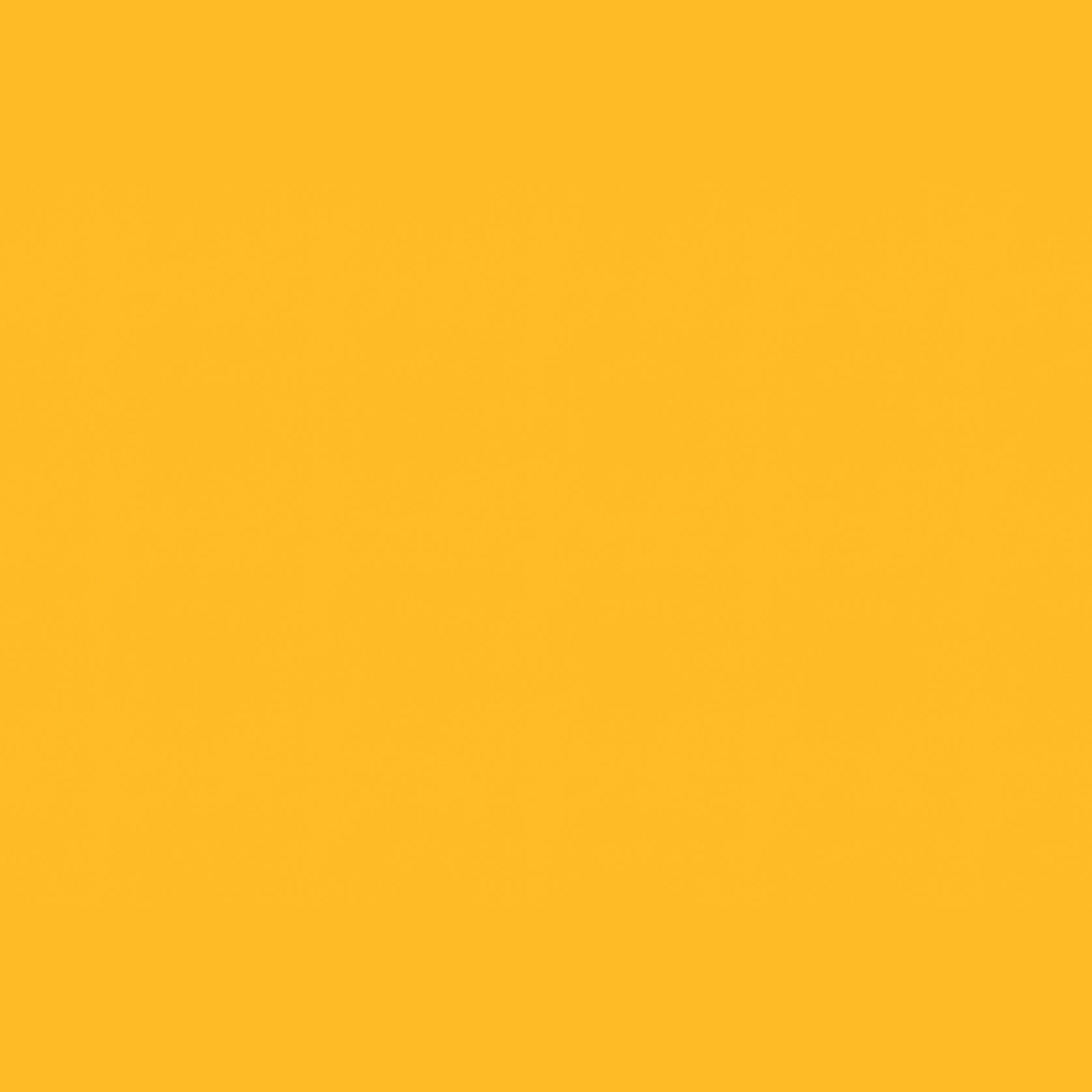 Altro Whiterock Chameleon™ Gloss Wall Lining gallery detail image